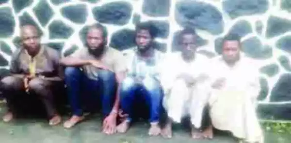 We Sell a Human Hand for N5,000 - Cultists Arrested Alongside Traditional Ruler Confesses (Photo)